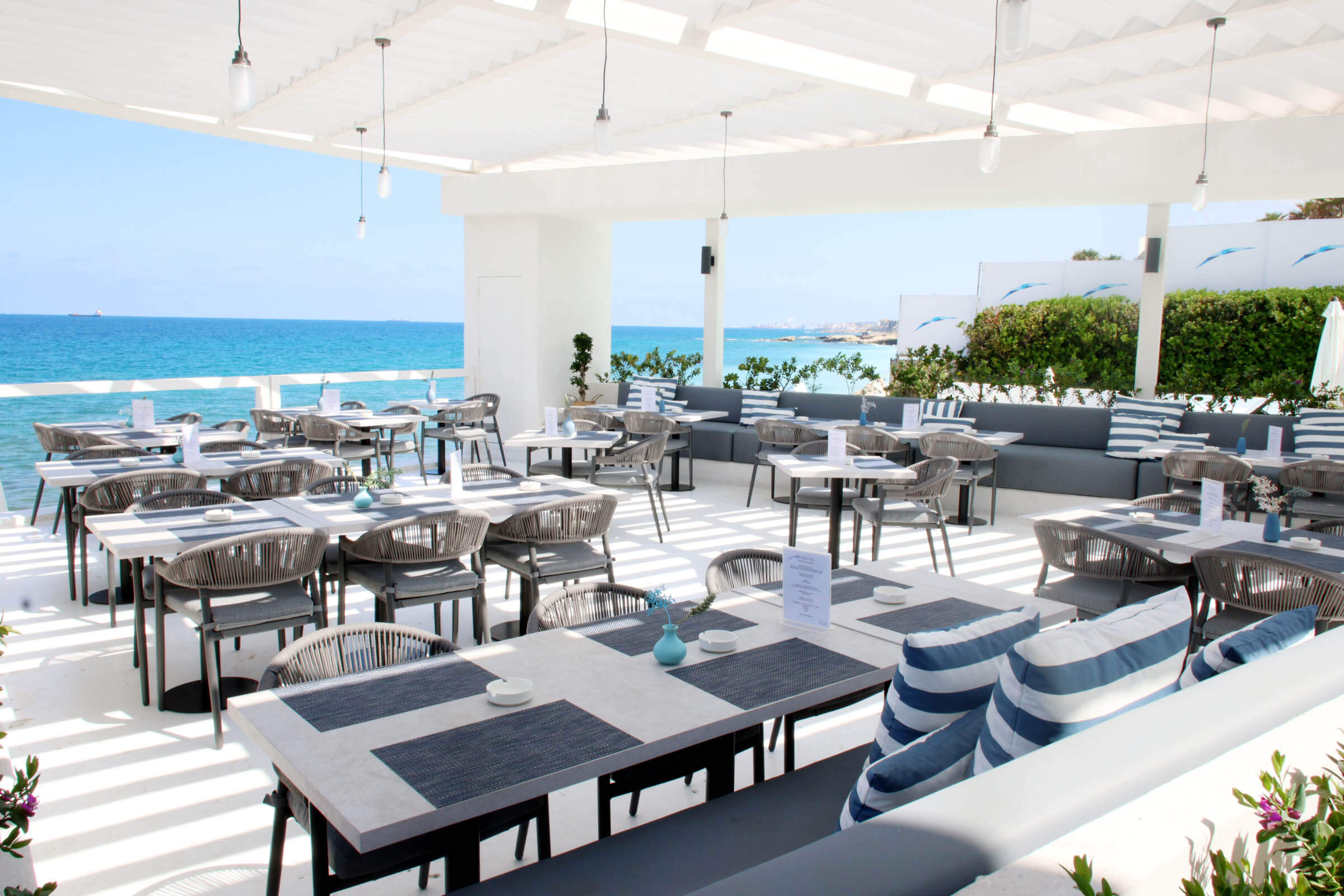 THE AMBIANCE & SETTINGS
